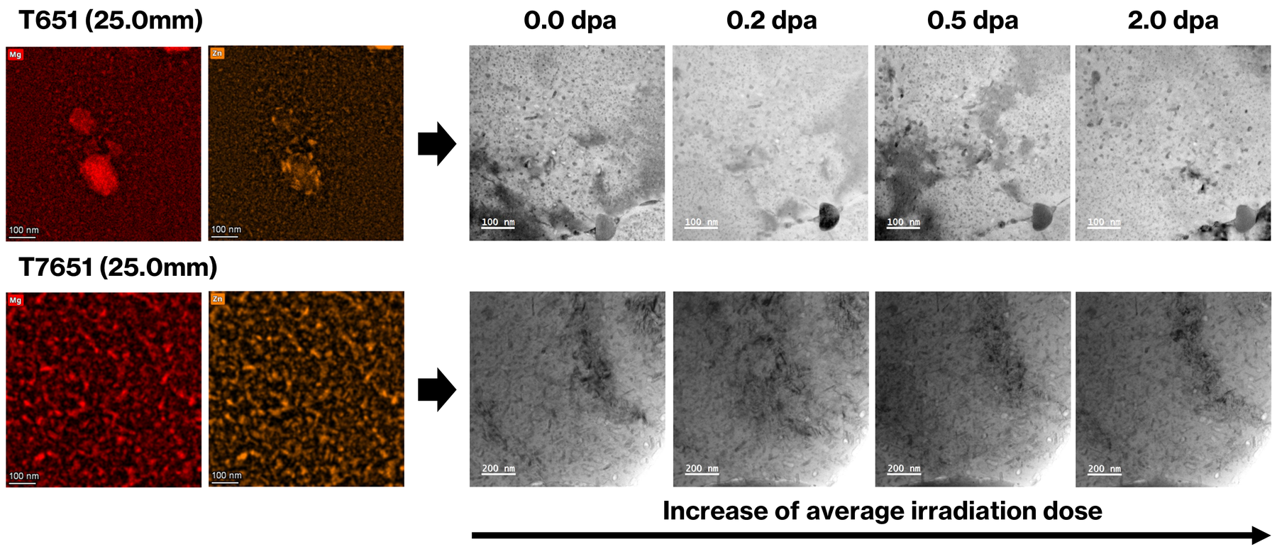 EDX maps (Mg, Zn) and TEM dose series (0.0 to 2.0 dpa) for CrossAlloy.57 in T651 and T7651: the T-phase precipitates remain stable across the full irradiation range.